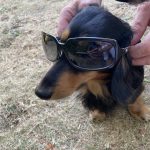 Mealtime Magic - Adult Samples