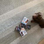 Mealtime Magic - Adult Samples