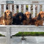 Mealtime Magic - Adult Samples