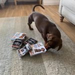 Mealtime Magic - Adult Samples