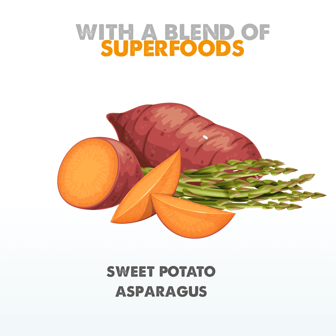 Dachshund Superfood Trout with Salmon Kibble - Light Recipe - Adult - Image 6