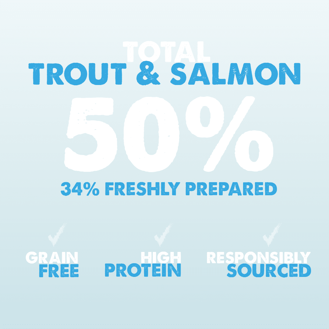 Dachshund Superfood Trout with Salmon Kibble - Light Recipe - Adult - Image 5