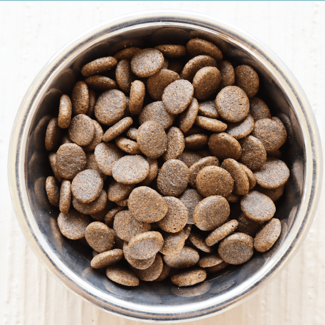 Dachshund Superfood Trout with Salmon Kibble - Light Recipe - Adult - Image 4
