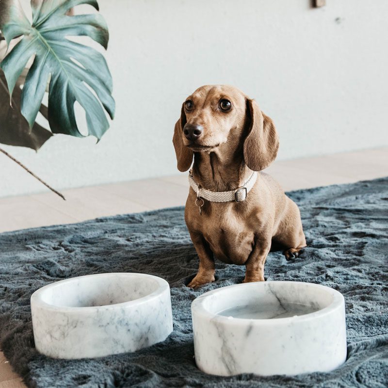 Kentucky Dogwear Marble Dog Bowl