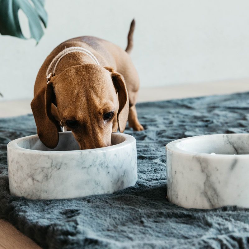 Kentucky Dogwear Marble Dog Bowl - Image 2