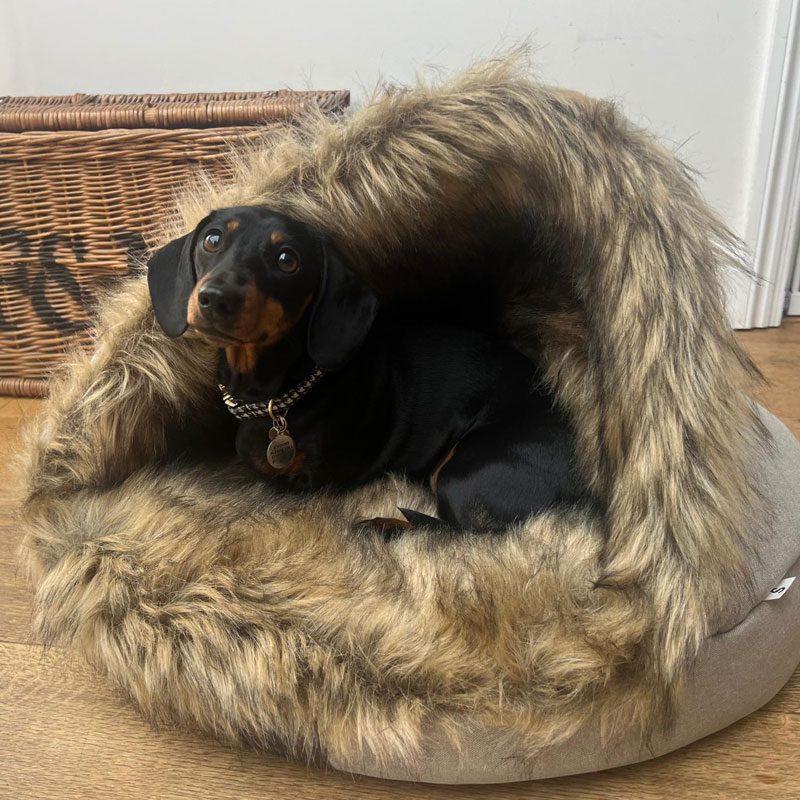 Kentucky Dogwear Igloo Dog Bed