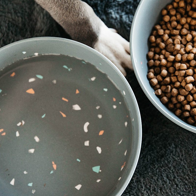 Kentucky Dogwear Terrazzo Dog Bowl - Image 2