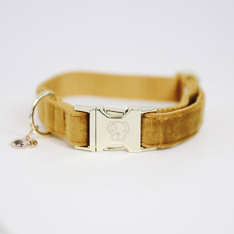 Kentucky Dogwear Velvet Dog Collars - Image 9