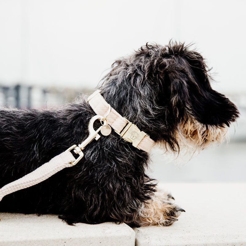 Kentucky Dogwear Wool Dog Collar - Image 3