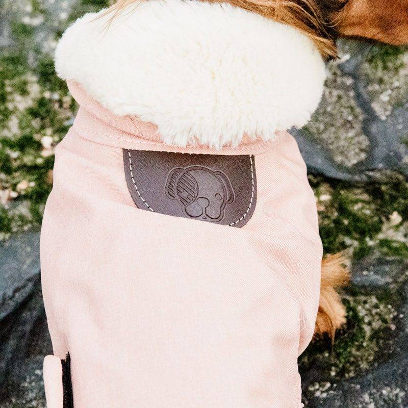 Waterproof Dachshund Dog Coat 160g - Image 3