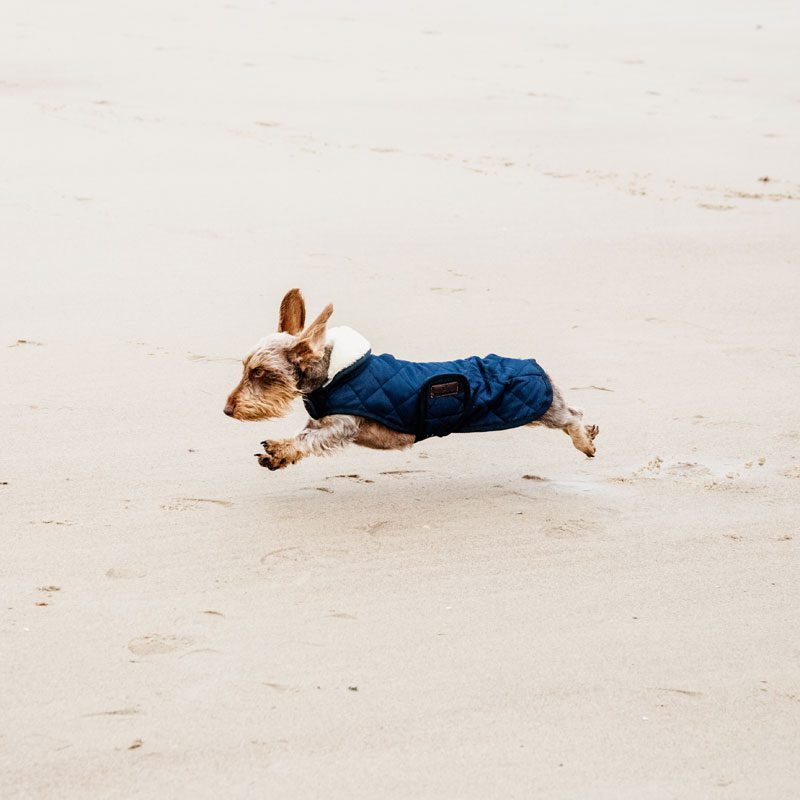 Kentucky Dogwear Classic Dog Coat - Image 4