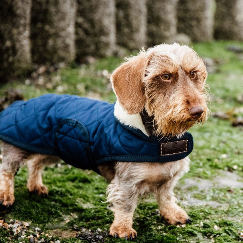 Kentucky Dogwear Classic Dog Coat