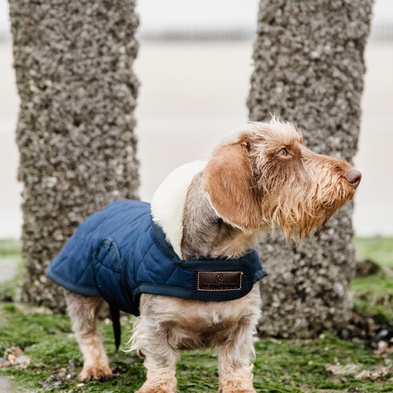 Kentucky Dogwear Classic Dog Coat - Image 6
