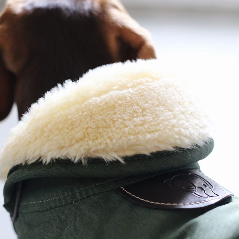 Kentucky Waterproof Dog Coat 300g Collar