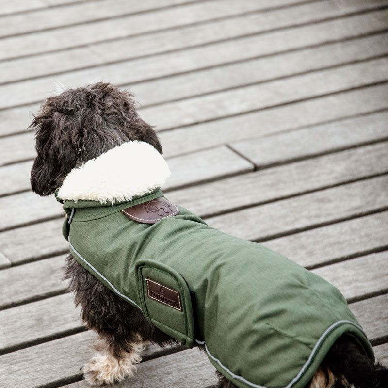Kentucky Waterproof Dog Coat 300g Back