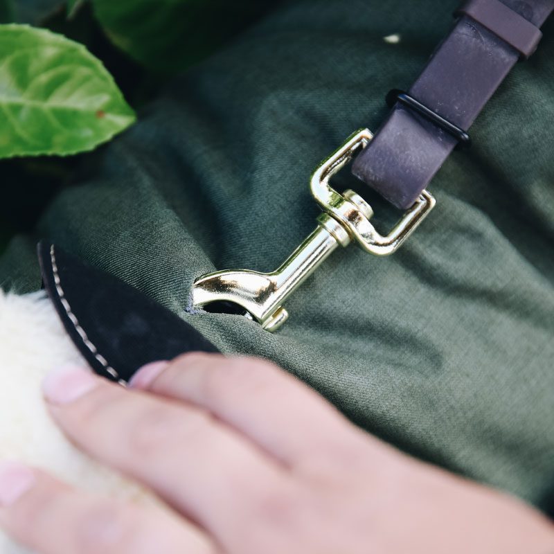 Kentucky Waterproof Dog Coat 300g Collar Slip