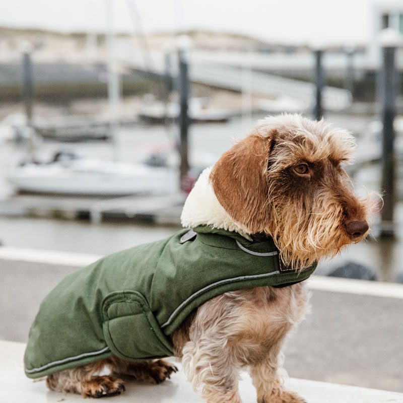 Kentucky Waterproof Dog Coat 300g