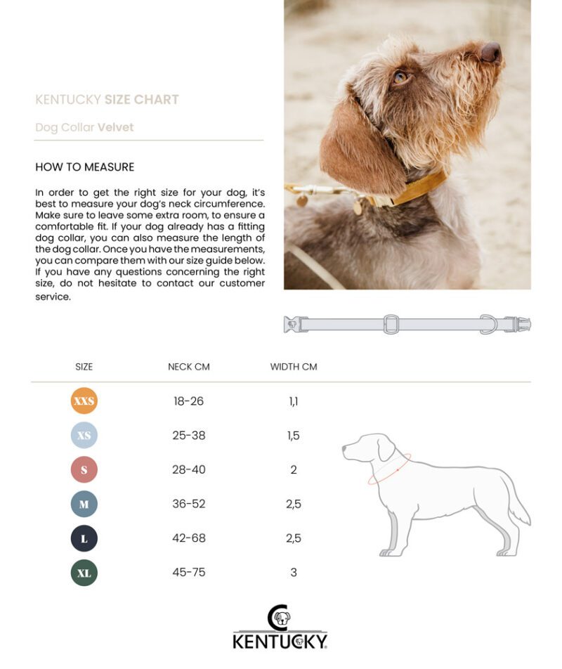 Kentucky Dogwear Velvet Dog Collars - Image 11