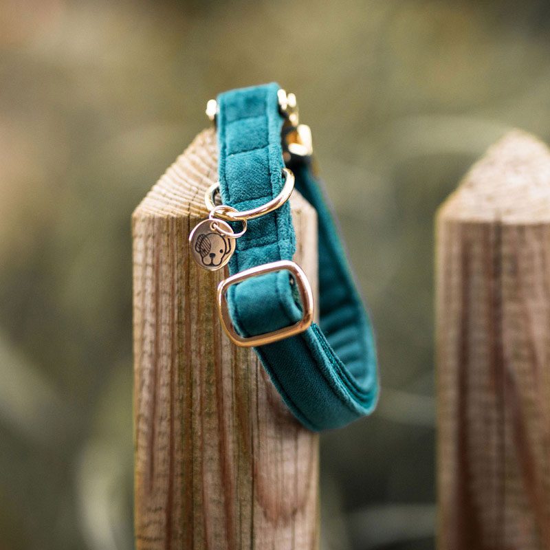 Velvet Dog Collar Emerald