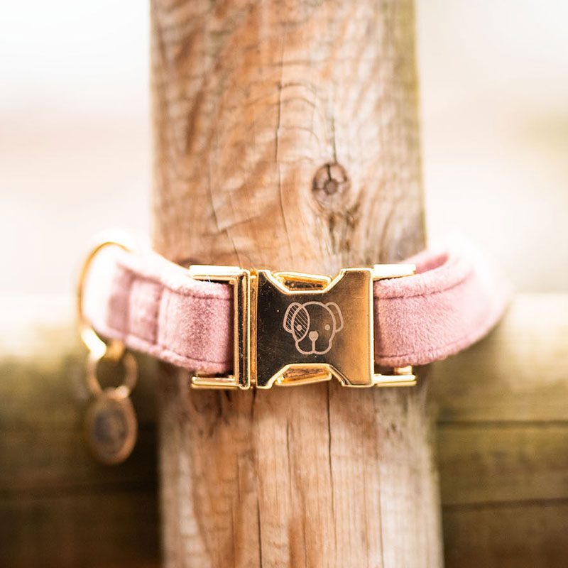 Kentucky Dogwear Velvet Dog Collars - Image 5