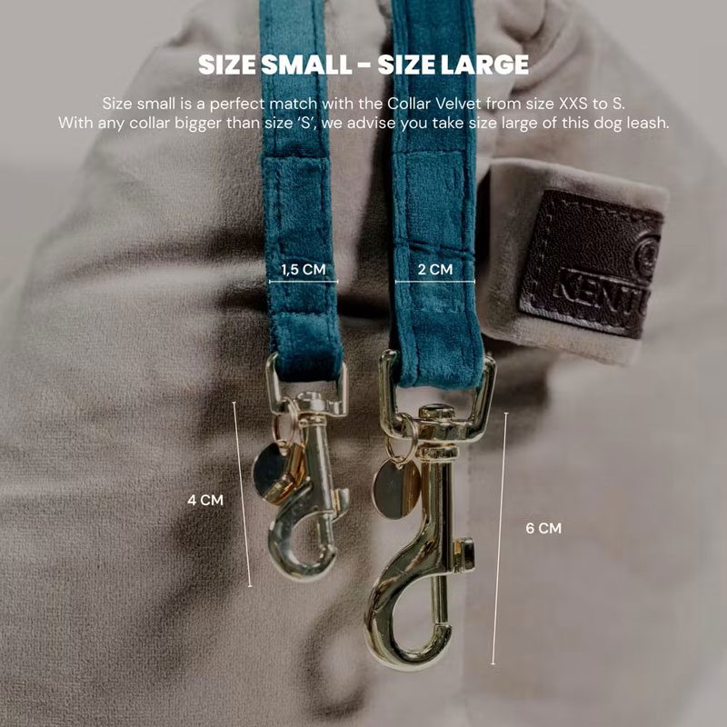 Kentucky Dogwear Velvet Dog Leads - Image 6