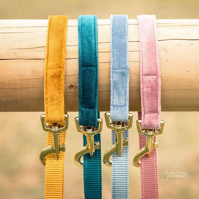Kentucky Dogwear Velvet Dog Lead