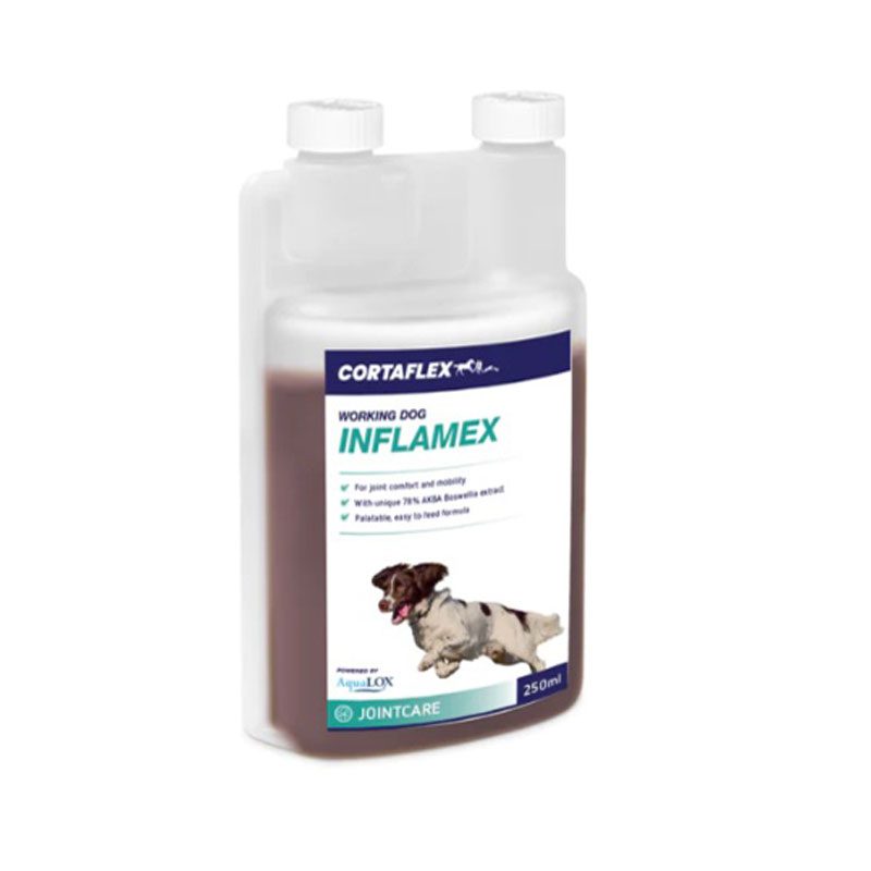 Canine Inflamex