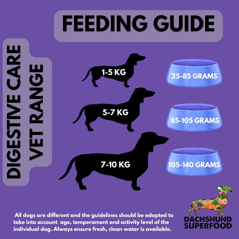 Dachshund Digestive Care - Adult Dog - Vet Range - Image 4