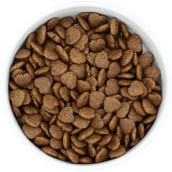 Dachshund Digestive Care - Adult Dog - Vet Range - Image 3