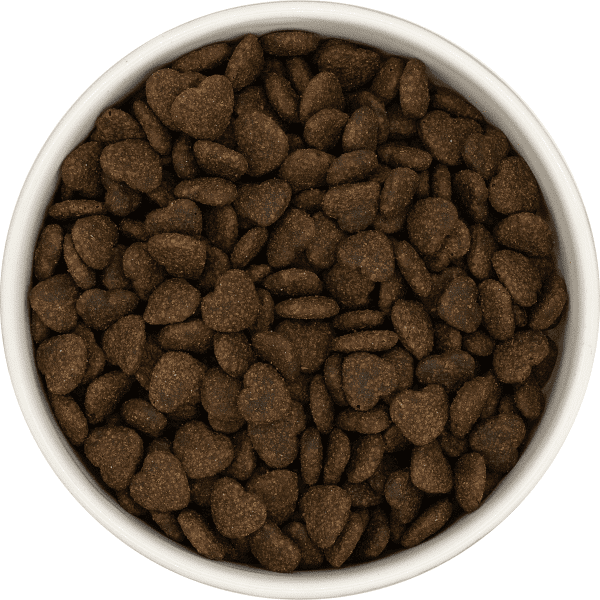 Dachshund Veterinary Range - Skin and Coat Care - Adult Dog - Image 3