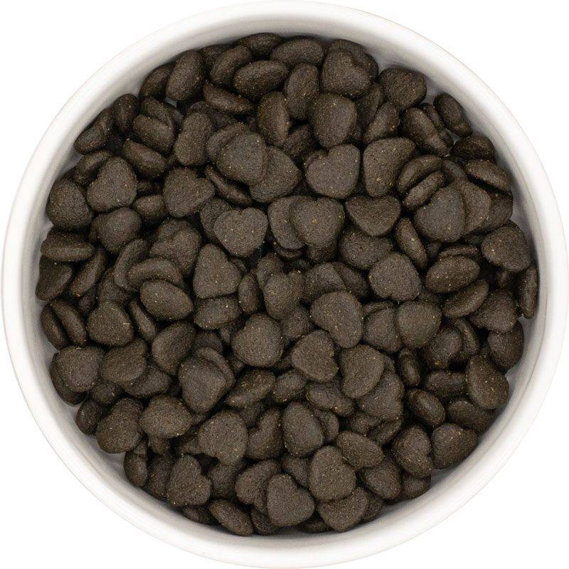 Dachshund Dental Care - Adult Dog - Vet Range - Image 3