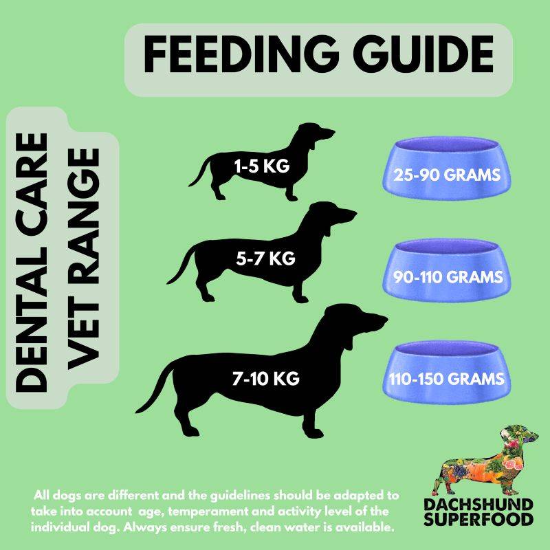 Dachshund Dental Care - Adult Dog - Vet Range - Image 5