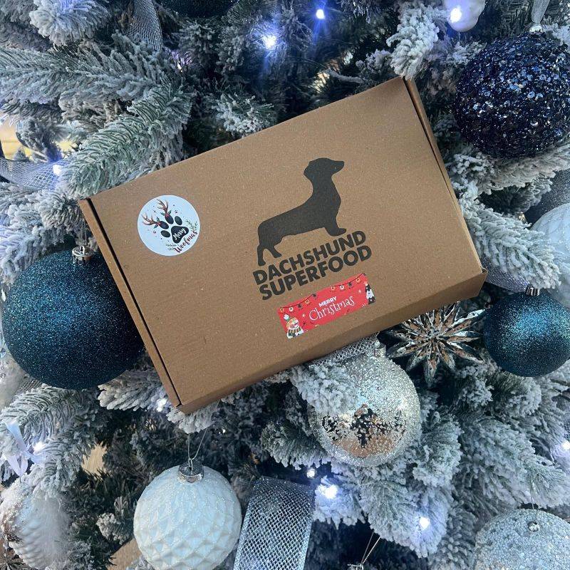 Dachshund Christmas Treat Box